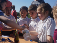 Science in the Sun at Cross-School Science Day