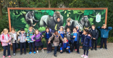 Lions and Tigers and Bears! Oh My! Lions and Tigers and Bears! Oh My!