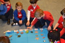 It's A Jungle Out There: Key Stage 1's Explore Habitats To Crack The Codes It's A Jungle Out There: Key Stage 1's Explore Habitats To Crack The Codes