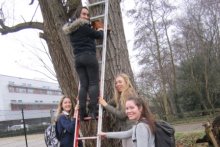 Nesting Boxes Receive Spring Clean In The Eco Garden Nesting Boxes Receive Spring Clean In The Eco Garden