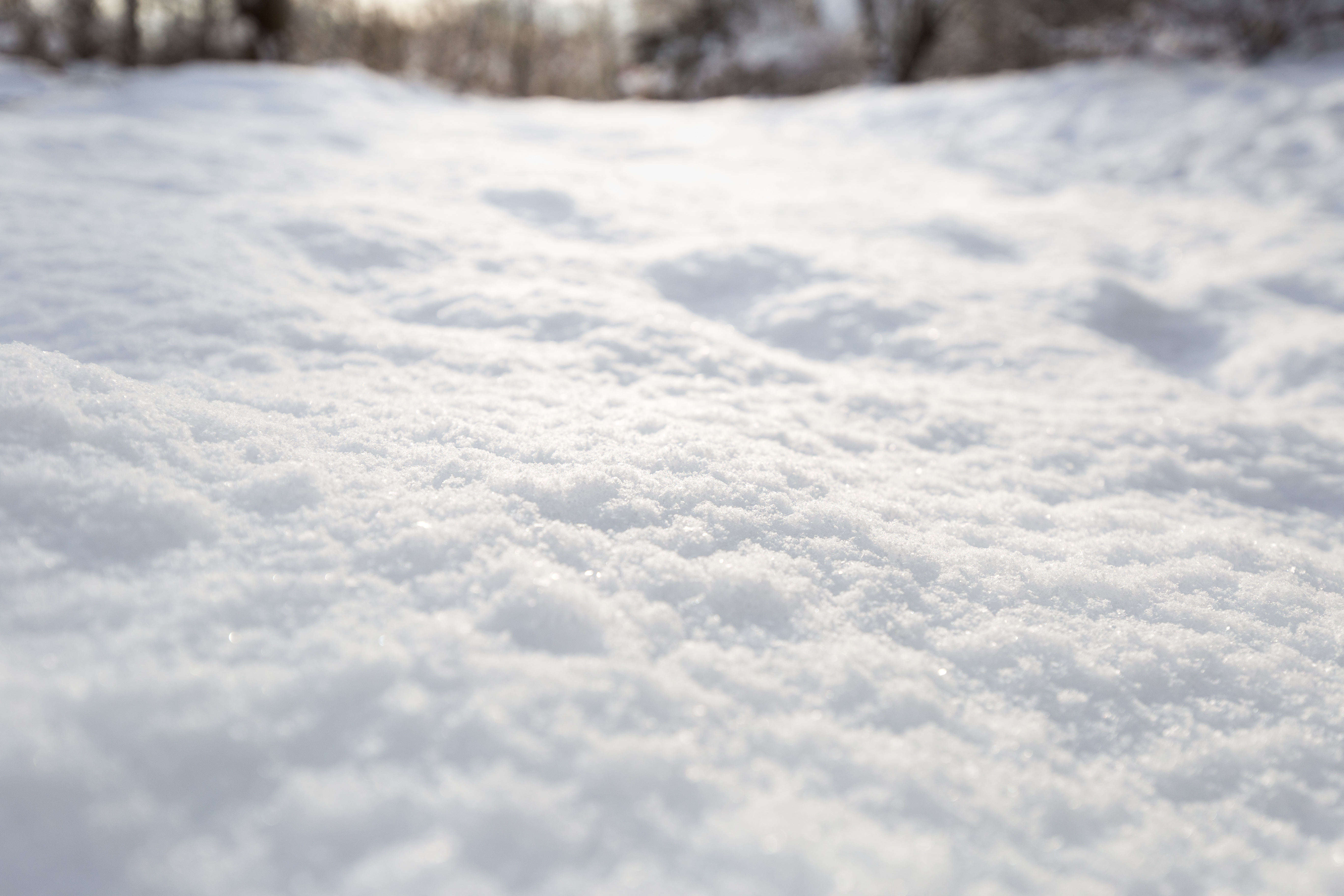 Notice - BSN Campus Closure on 7 January 2026