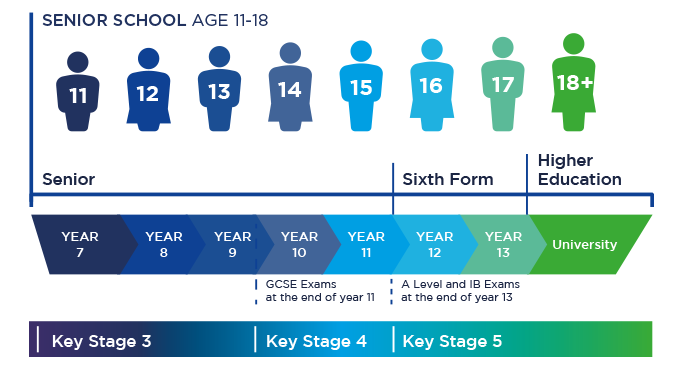 Year group graphic for Senior School