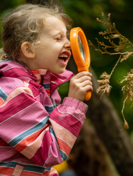 Admissions FAQs Admissions FAQs