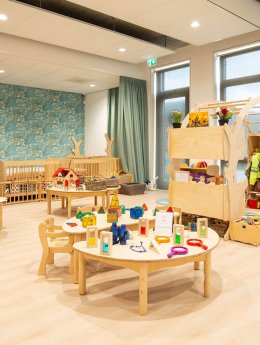 The Willows The Willows